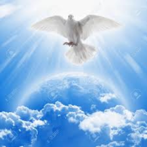 Colombe Higgins Le Groupe Garneau